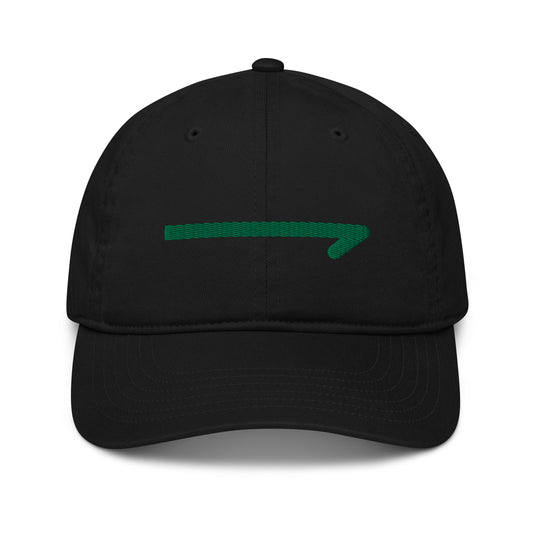 Organic 202X Low Profile Hat